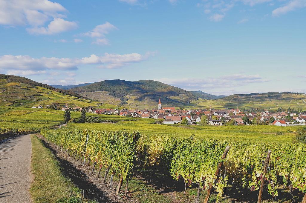 Gite Du Vignoble Ammerschwihr Exterior foto